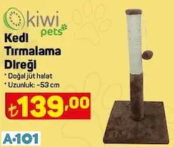 Kiwi Kedi Tırmalama Direği