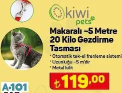 Kiwi Gezdirme Tasması