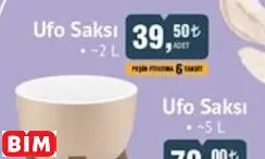 Ufo Saksı ~2 L