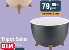 Ufo Saksı  ~5 L