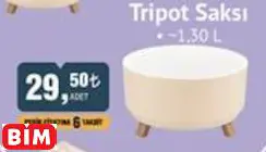 Tripot Saksı ~1,30 L Tripot Saksı ~1,30 L