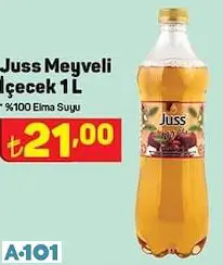 Juss Meyveli İçecek 1L