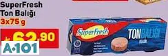 Superfresh Ton Balığı