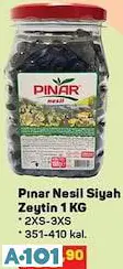 Pınar Nesil Siyah Zeytin