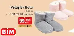 Pelüş Ev Botu