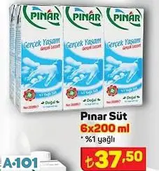 Pınar Süt 6X200ml