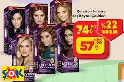 Koleston Intense Saç Boyası Çeşitleri