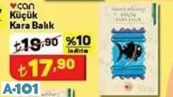 küçük kara balık kitabı