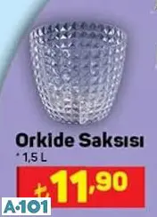 Orkide Saksısı