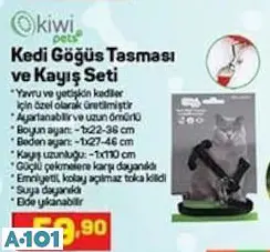 Kiwi Pets Kedi Göğüs Tasması Ve Kayış Seti