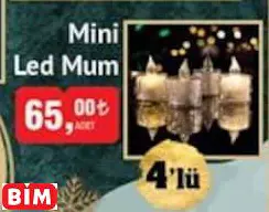 Mini Led Mum
