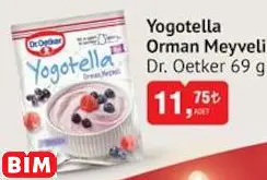 Dr. Oetker Yogotella Orman Meyveli