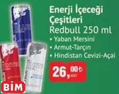 Redbull Enerji İçeceği Çeşitleri