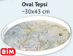 Oval Tepsi