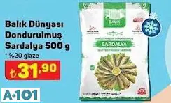 balık dünyası dondurulmuş sardalya balık dünyası dondurulmuş sardalya