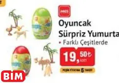 Oyuncak Sürpriz Yumurta