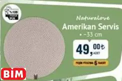 Amerikan Servis Amerikan Servis