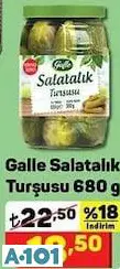 Galle Salatalık Turşusu 680G