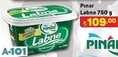 pınar labne