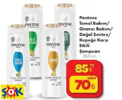 Pantene Temel Bakım/ Onarıcı Bakım/ Doğal Sentez/ Kepeğe Karşı Etkili Şampuan 350 Ml