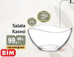 Lav Salata Kasesi