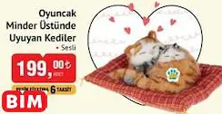 Oyuncak Minder Üstünde Uyuyan Kediler Oyuncak Minder Üstünde Uyuyan Kediler