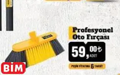 SGS Profesyonel Oto Fırçası