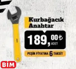 SGS Kurbağacık Anahtar SGS Kurbağacık Anahtar